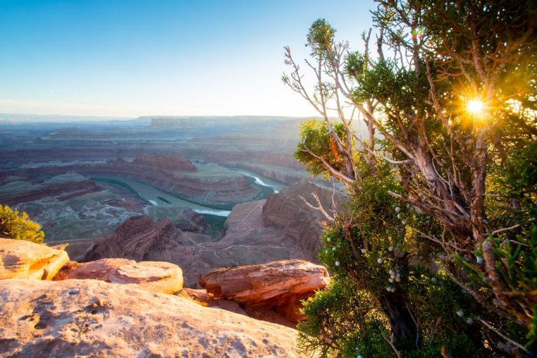 Embracing the Wild: Unconventional Outdoor Travel Experiences